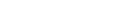 LSI